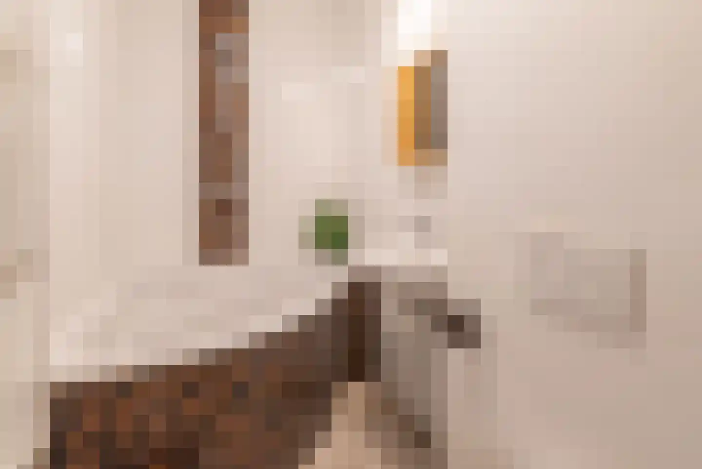 Kostverlorenstraat 14 3 Amsterdam thumbnail 12
