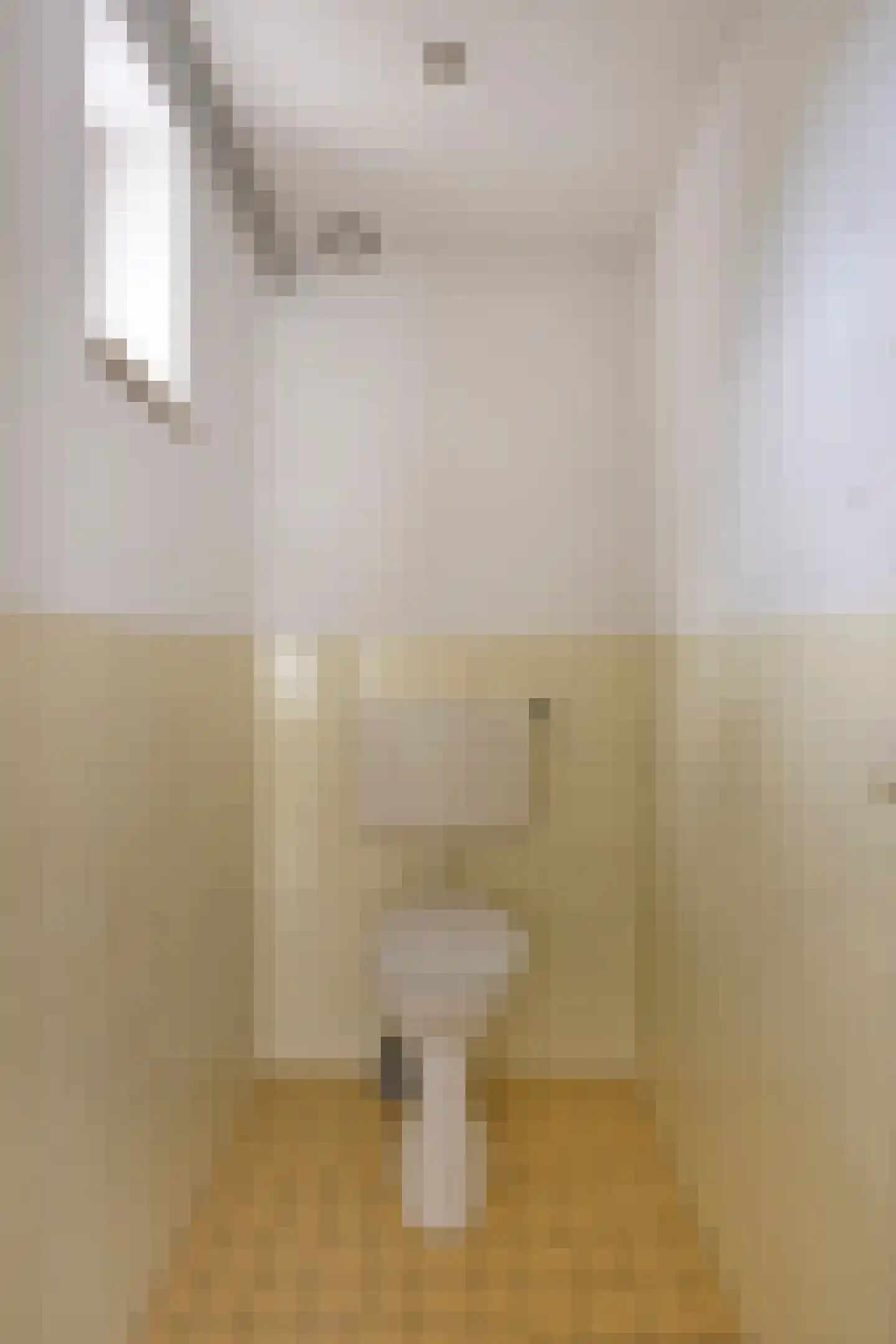 Kostverlorenstraat 14 b Zandvoort thumbnail 15
