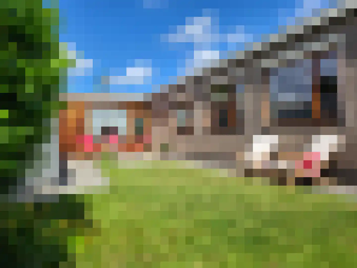 Kostverlorenstraat 2 Nieuwe Niedorp thumbnail 15