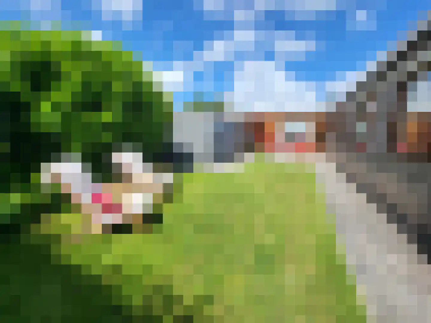 Kostverlorenstraat 2 Nieuwe Niedorp thumbnail 16