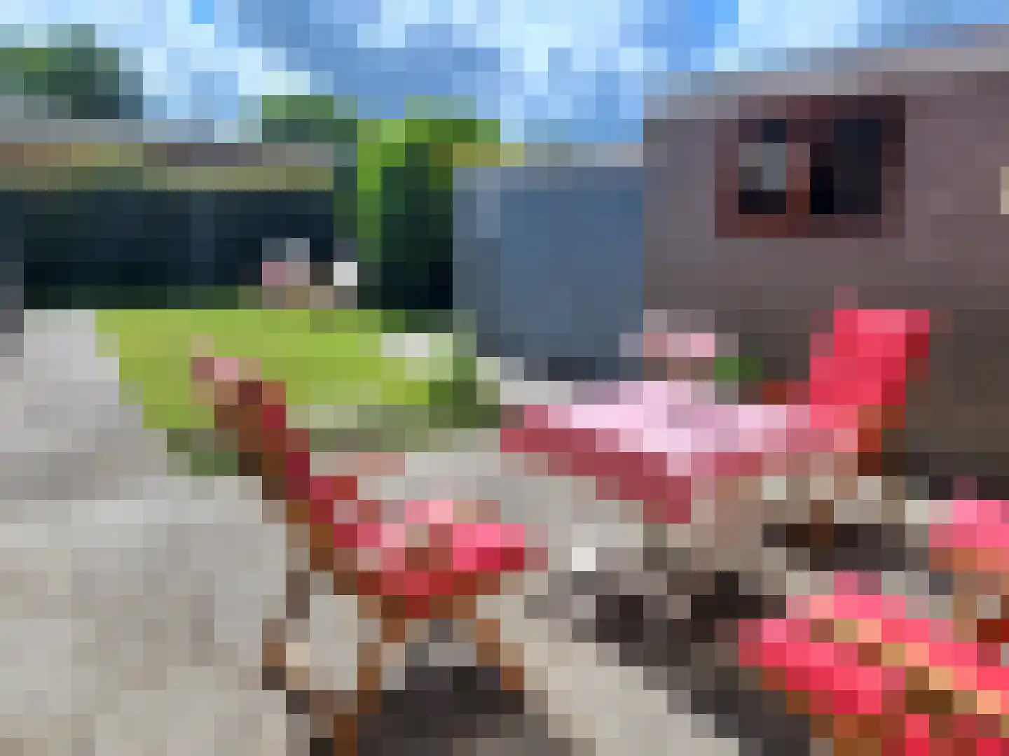 Kostverlorenstraat 2 Nieuwe Niedorp thumbnail 17