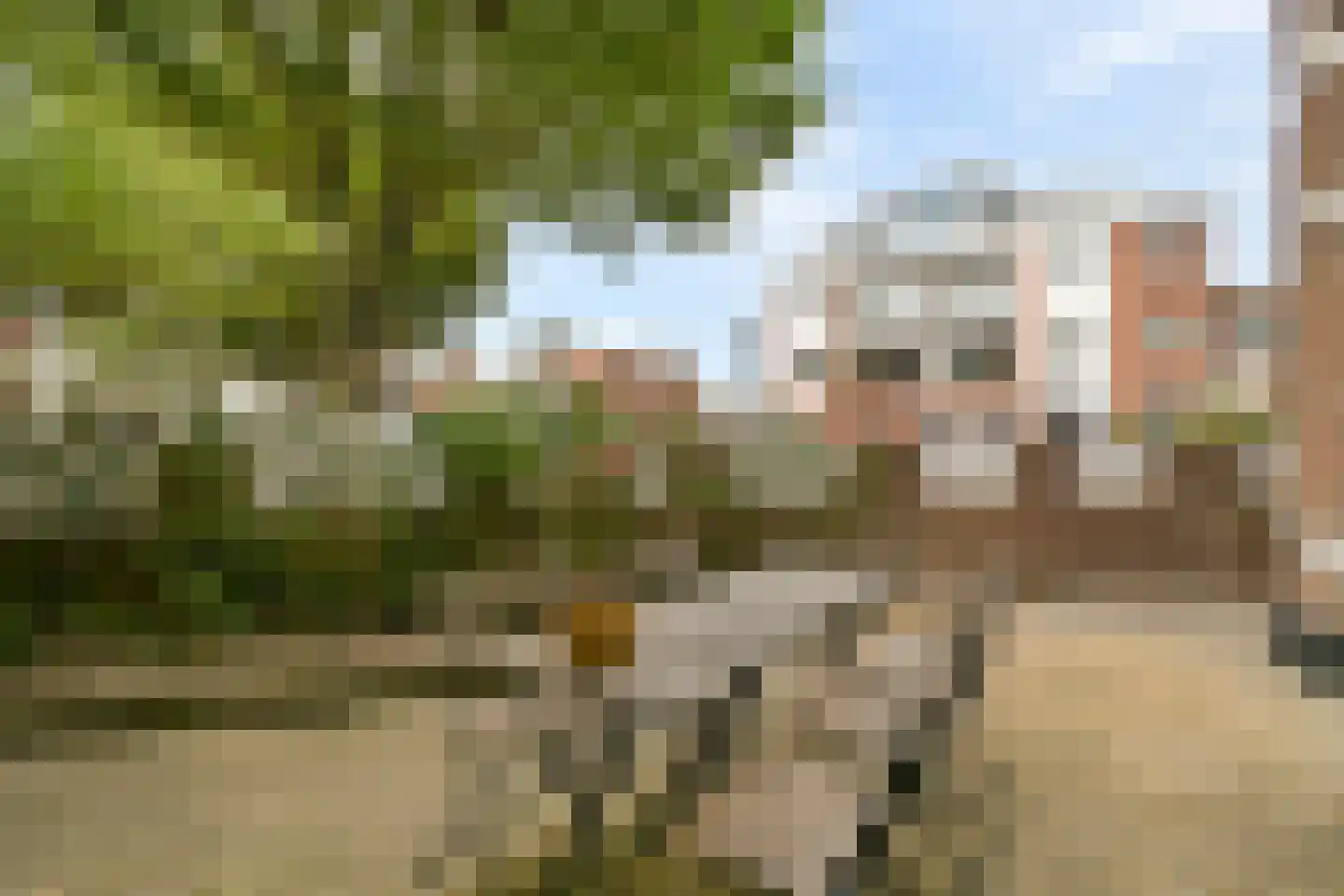Kostverlorenstraat 2 Zandvoort thumbnail 10