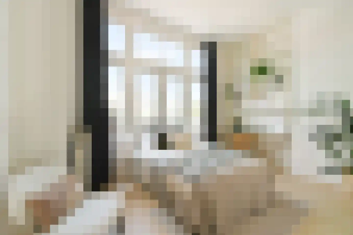 Kostverlorenstraat 2 Zandvoort thumbnail 17