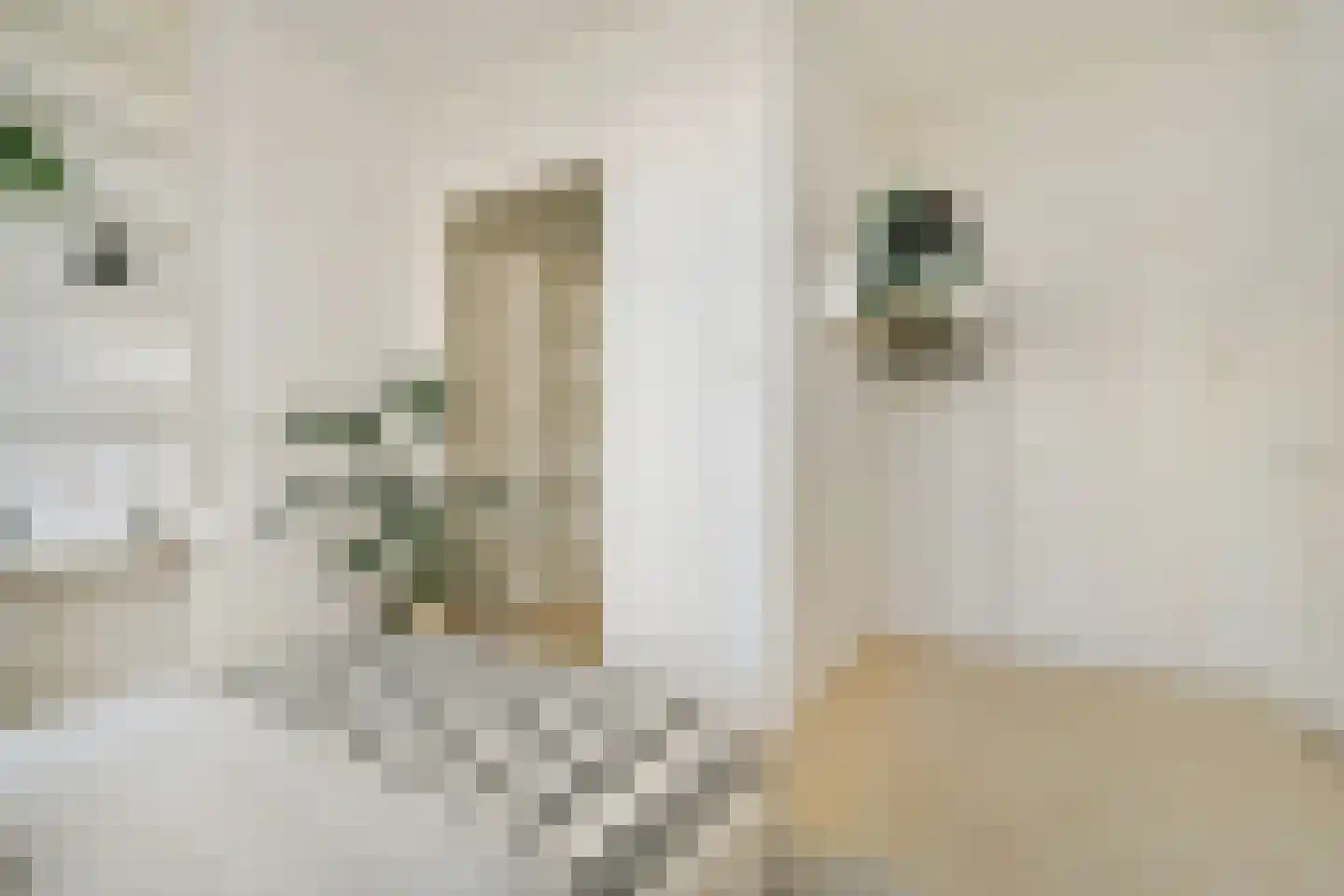 Kostverlorenstraat 2 Zandvoort thumbnail 19