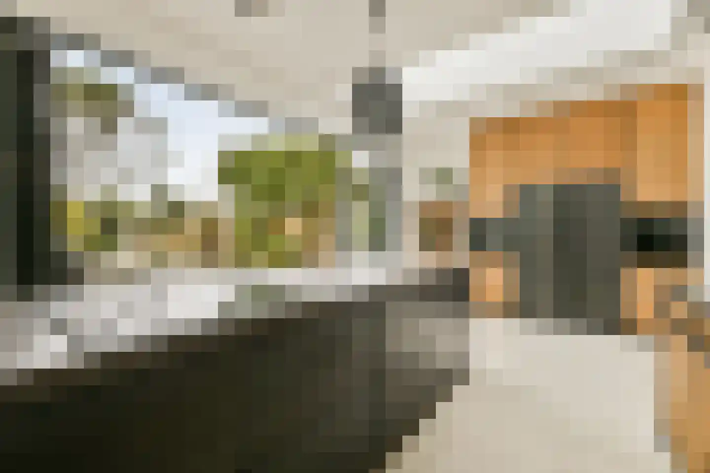Kostverlorenstraat 31 Zandvoort thumbnail 17