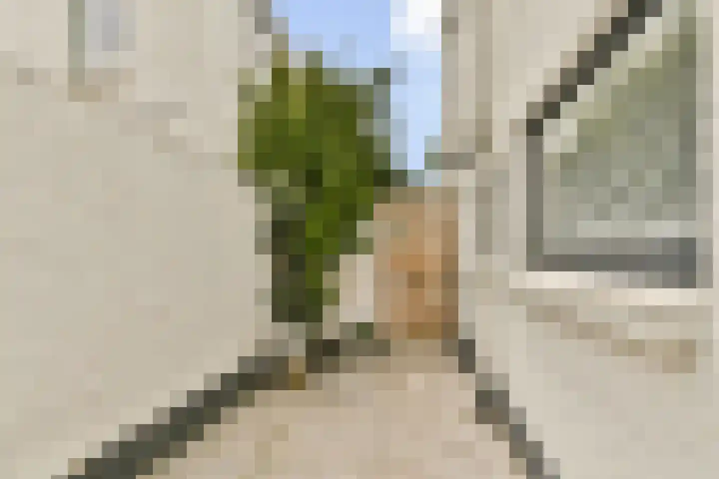 Kostverlorenstraat 31 Zandvoort thumbnail 41