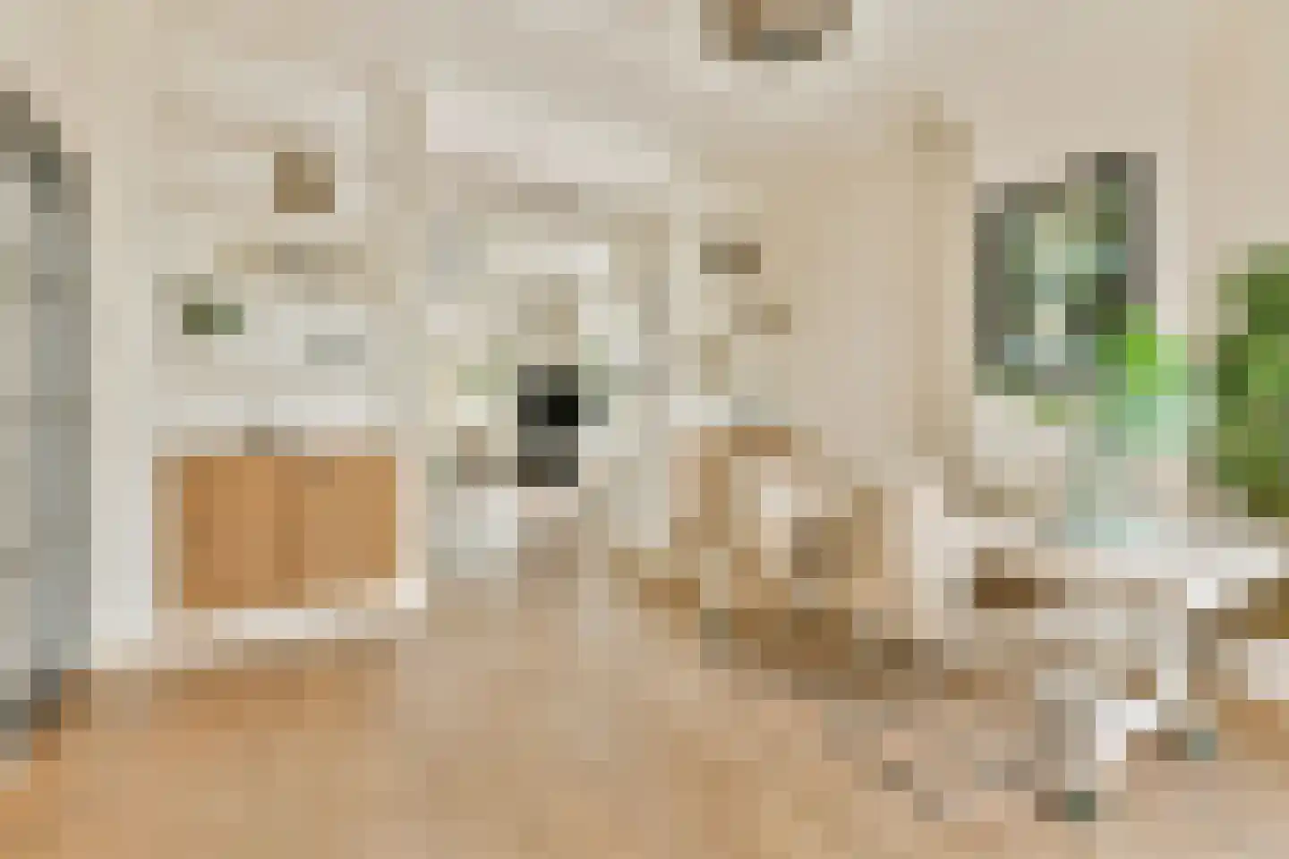 Kostverlorenstraat 31 Zandvoort thumbnail 6