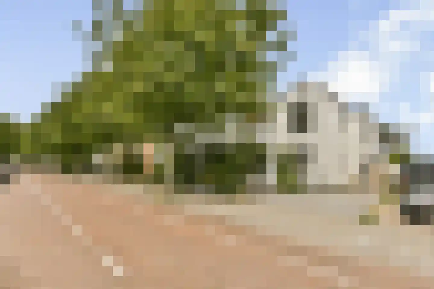 Kostverlorenstraat 31 Zandvoort thumbnail 63