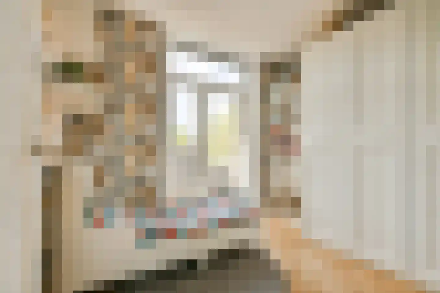 Kostverlorenstraat 49 Zandvoort thumbnail 38