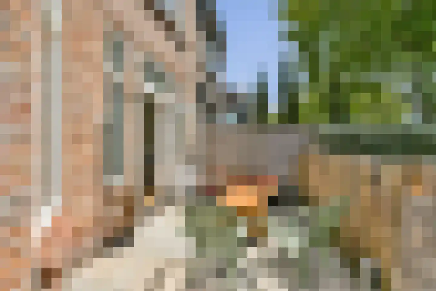 Kostverlorenstraat 49 Zandvoort thumbnail 5