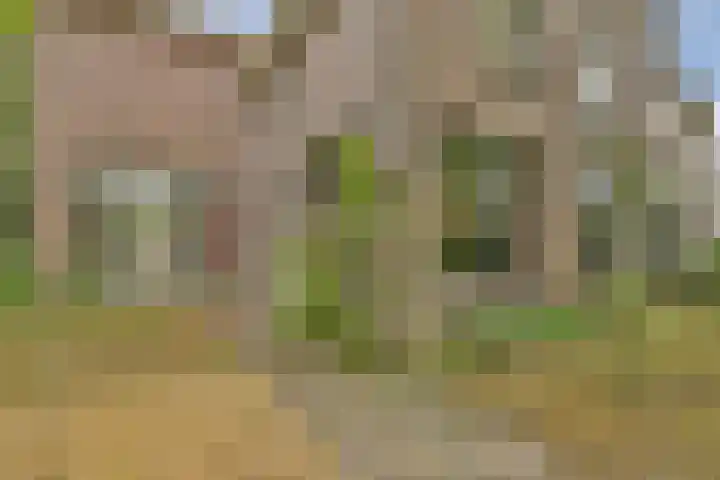 Kostverlorenstraat 62 Zandvoort thumbnail 6