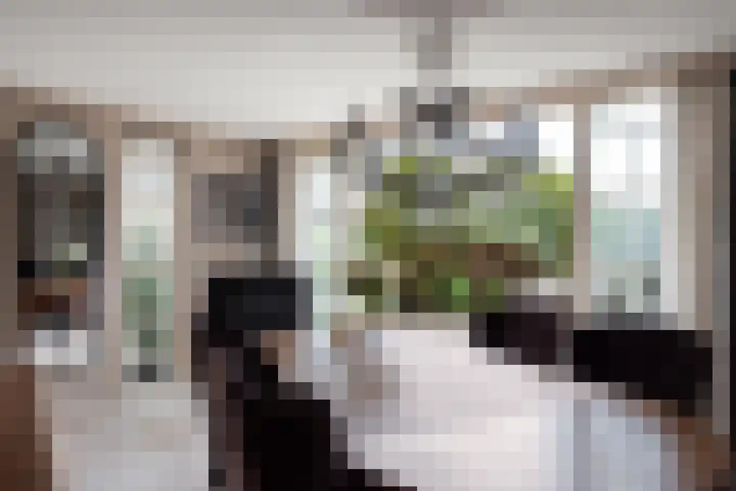 Kostverlorenstraat 68 Zandvoort thumbnail 8