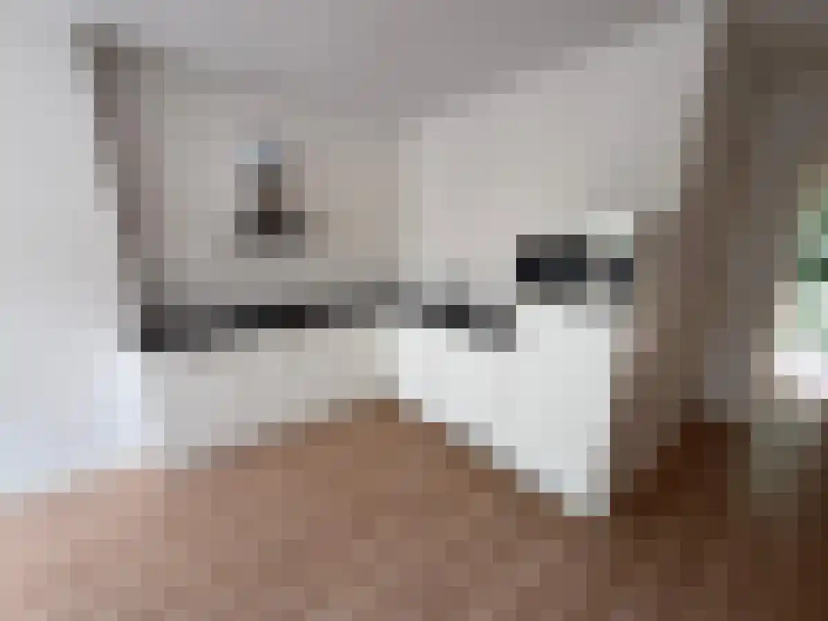 Kostverlorenstraat 7 2 Amsterdam thumbnail 4
