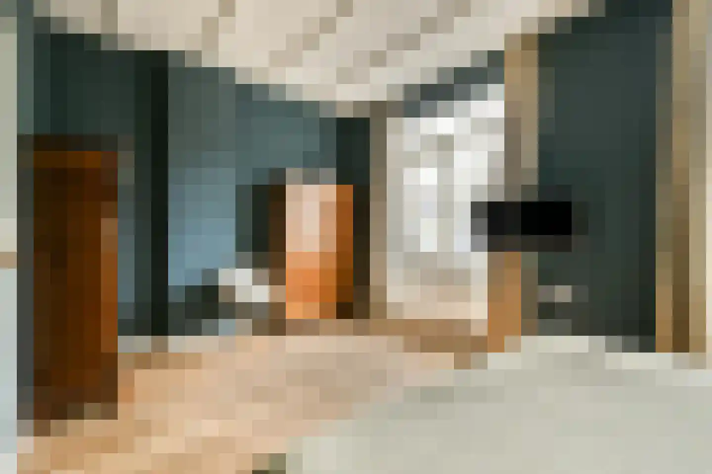 Kostverlorenstraat 83 Zandvoort thumbnail 21