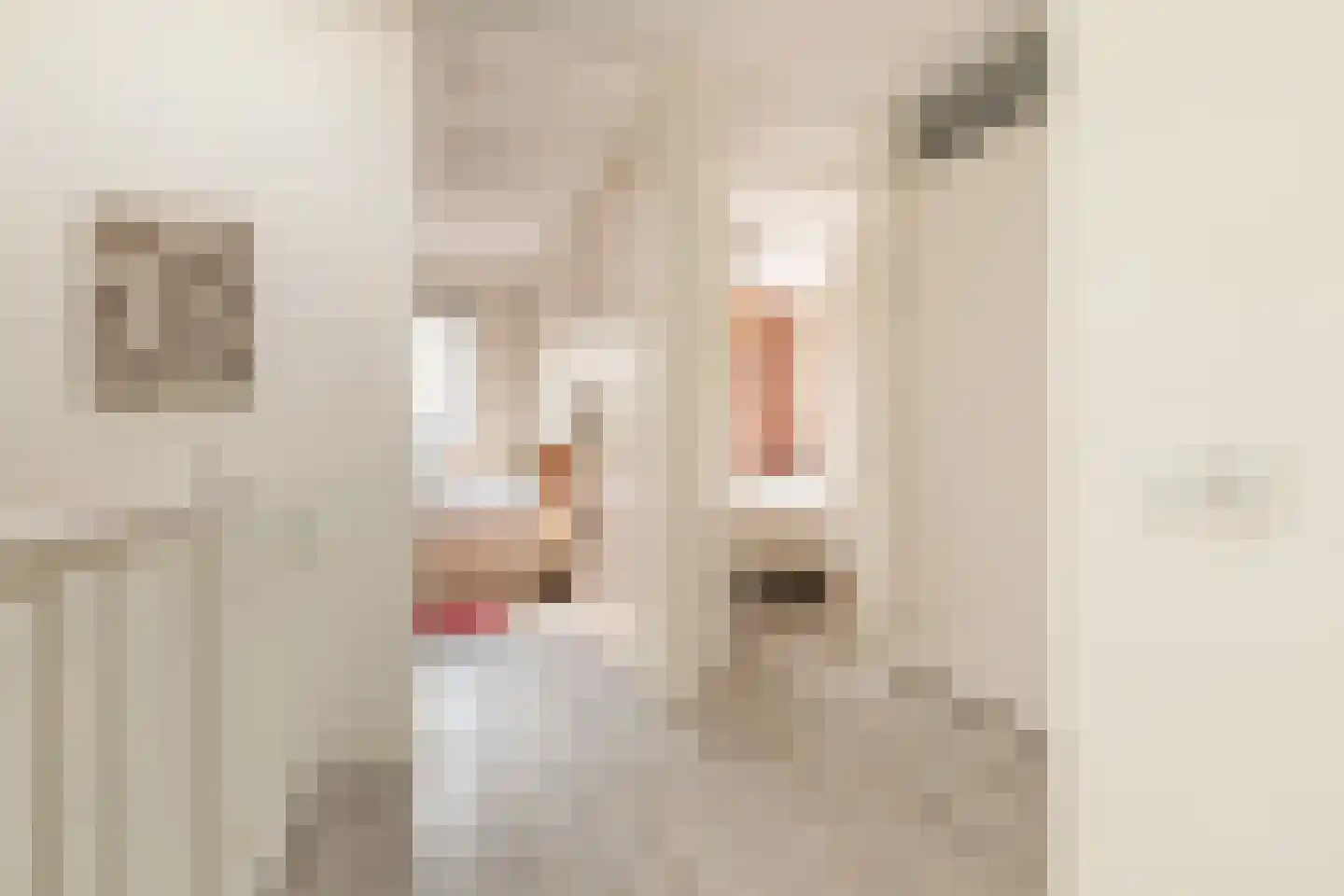 Kostverlorenstraat 957 Weesp thumbnail 13