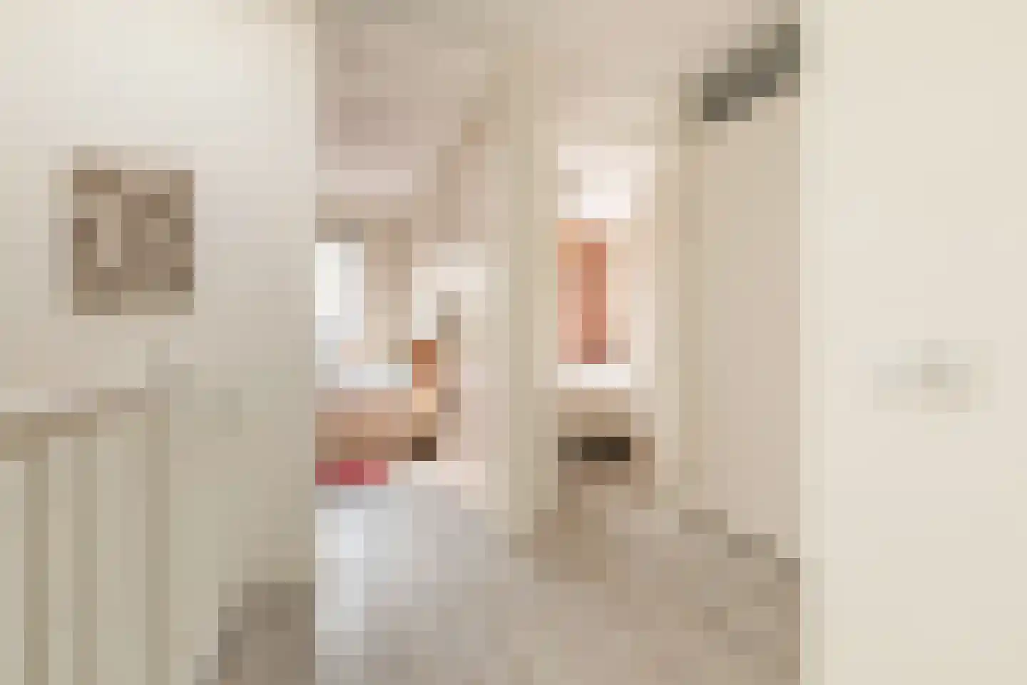 Kostverlorenstraat 957 Weesp thumbnail 13