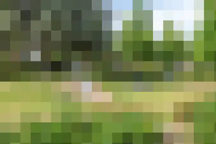Kostverlorenweg 7 Soest thumbnail 34