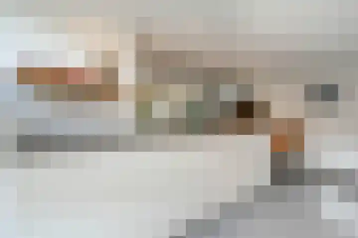 Koterhoek 16 Steenwijk thumbnail 19