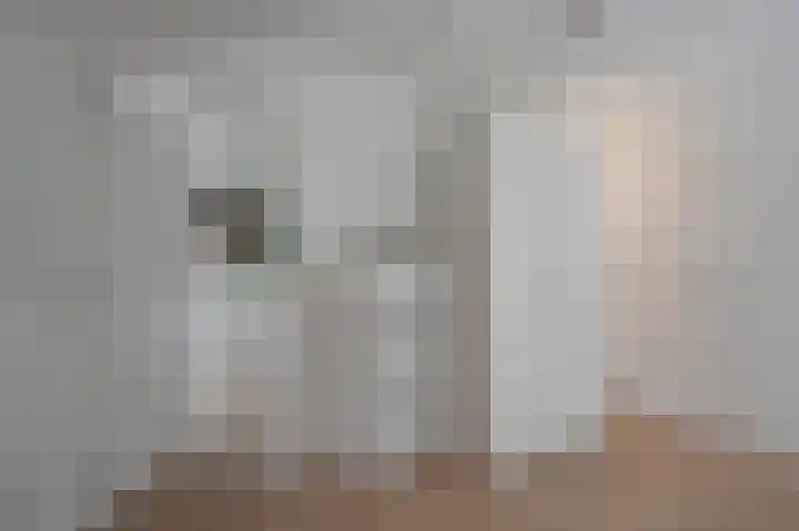 Koterhoek 16 Steenwijk thumbnail 31
