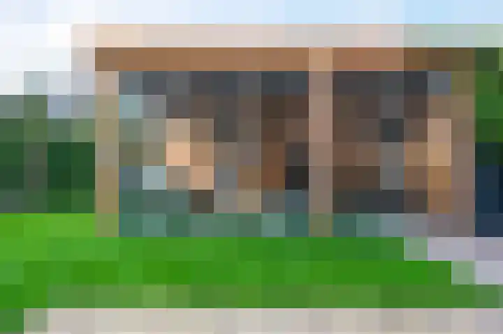 Koterhoek 16 Steenwijk thumbnail 46