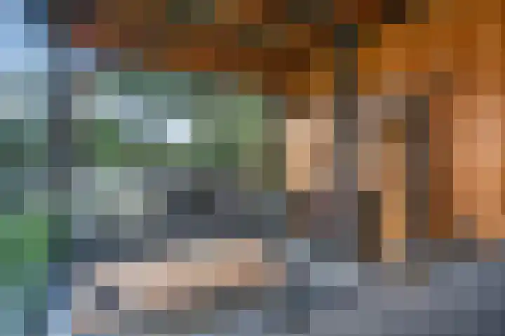 Koterhoek 16 Steenwijk thumbnail 47