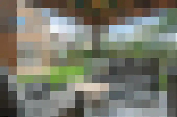 Koterhoek 16 Steenwijk thumbnail 50