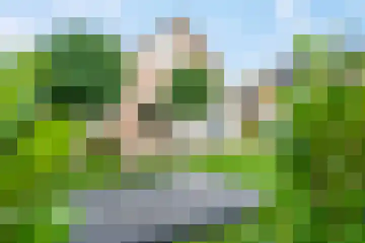 Koterhoek 16 Steenwijk thumbnail 58