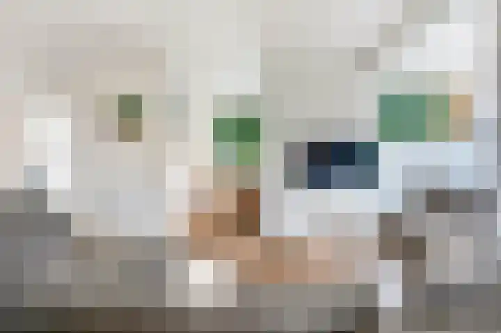 Koterhoek 16 Steenwijk thumbnail 6