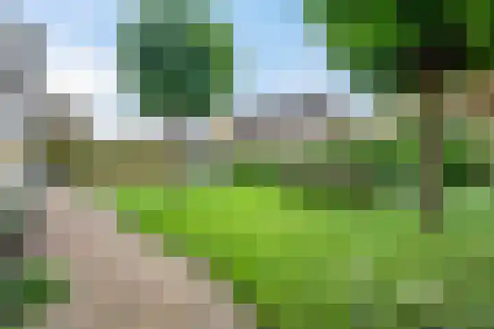 Koterhoek 16 Steenwijk thumbnail 61