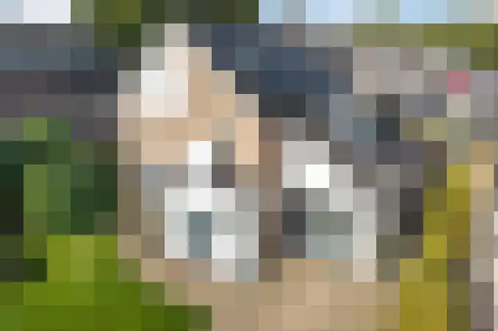 Koterhoek 16 Steenwijk thumbnail 64