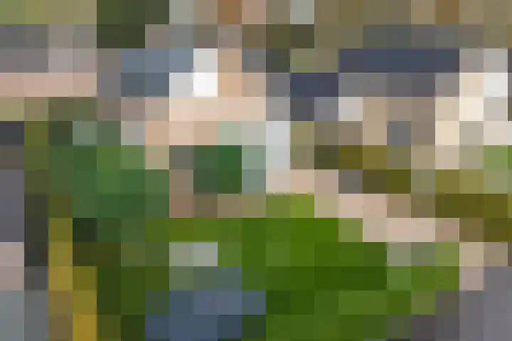Koterhoek 16 Steenwijk thumbnail 65
