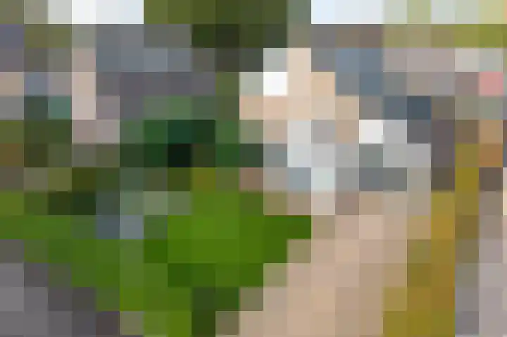 Koterhoek 16 Steenwijk thumbnail 66
