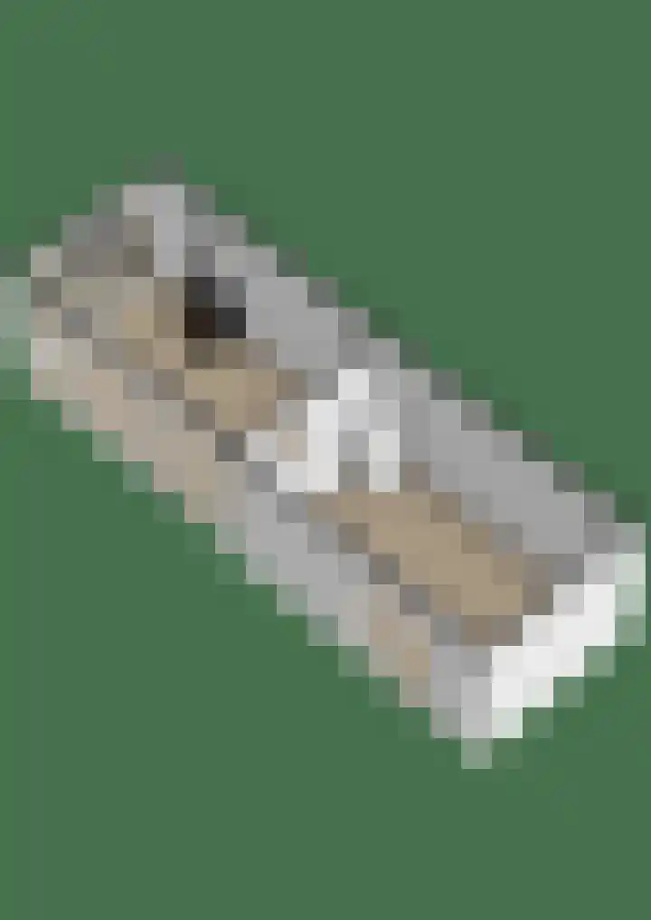 Koterhoek 16 Steenwijk thumbnail 76
