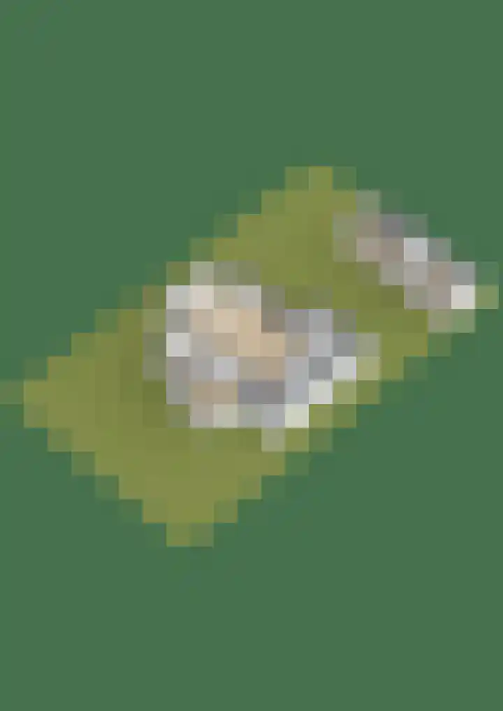 Koterhoek 16 Steenwijk thumbnail 78