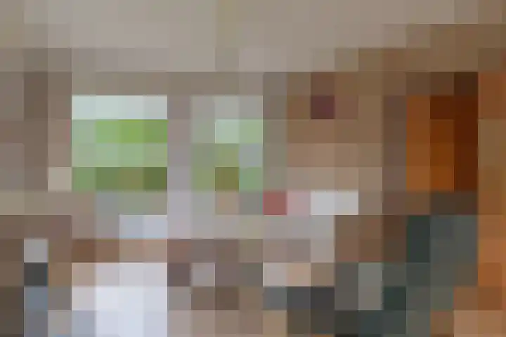 Koterhoek 23 Steenwijk thumbnail 11