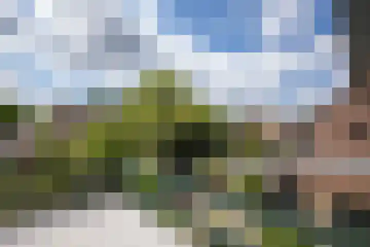 Koterhoek 23 Steenwijk thumbnail 22