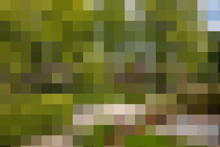 Koterhoek 23 Steenwijk thumbnail 28