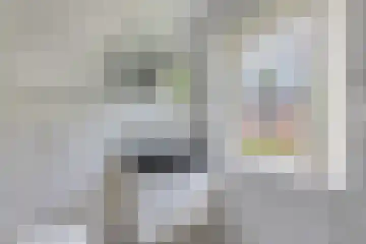 Koterhoek 23 Steenwijk thumbnail 31