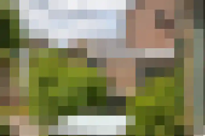 Koterhoek 23 Steenwijk thumbnail 35