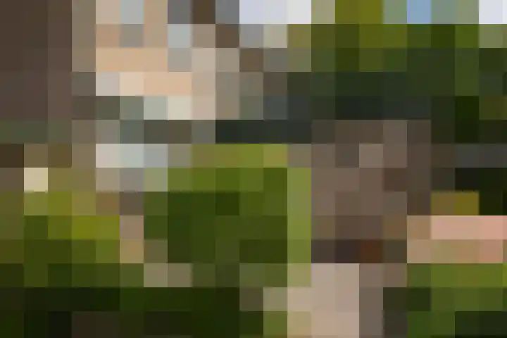 Koterhoek 23 Steenwijk thumbnail 38