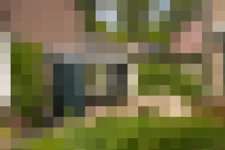 Koterhoek 23 Steenwijk thumbnail 39