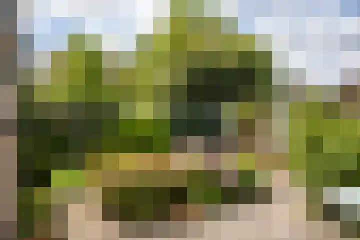 Koterhoek 23 Steenwijk thumbnail 4