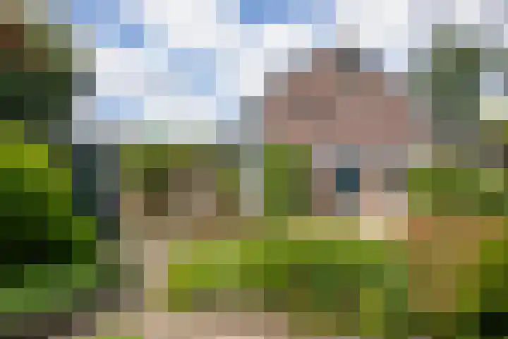 Koterhoek 23 Steenwijk thumbnail 40