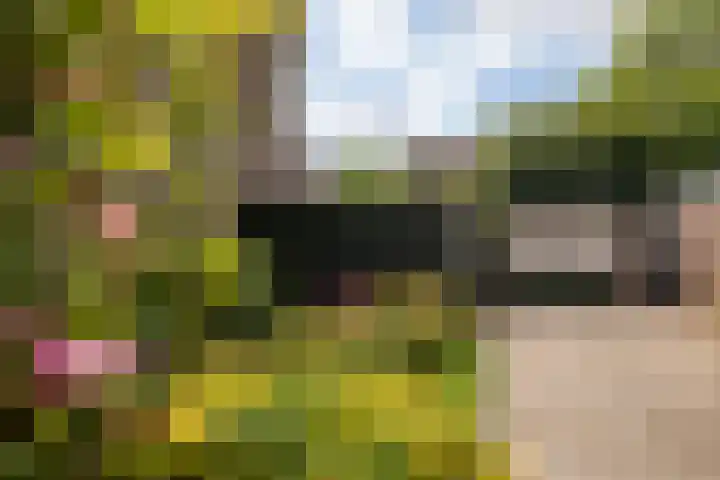 Koterhoek 23 Steenwijk thumbnail 41