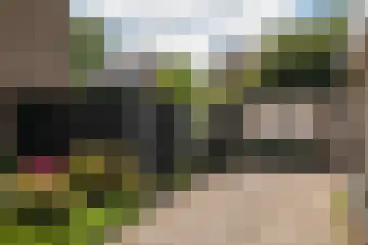 Koterhoek 23 Steenwijk thumbnail 42