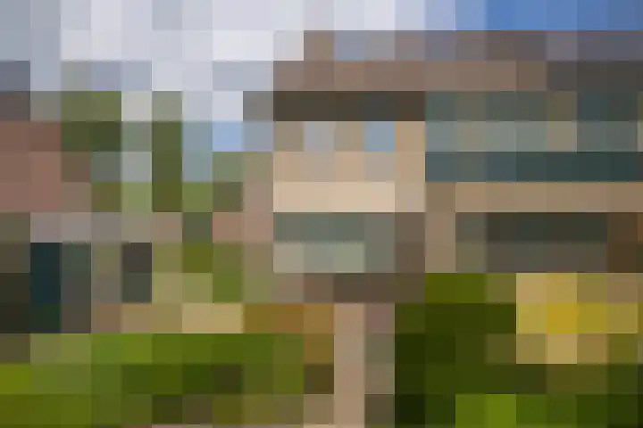 Koterhoek 23 Steenwijk thumbnail 43