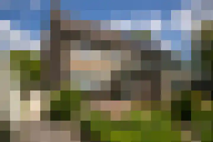 Koterhoek 23 Steenwijk thumbnail 44