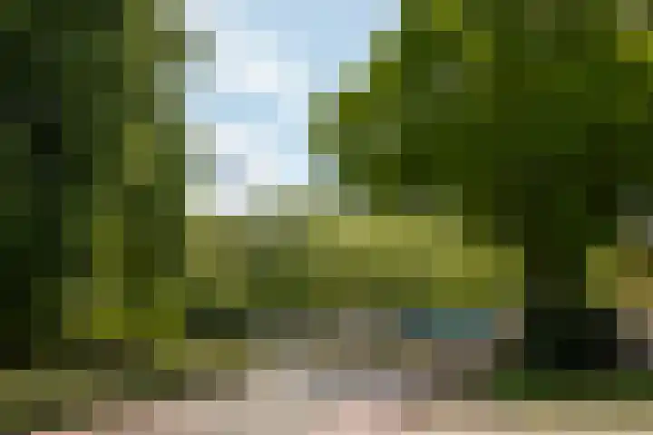 Koterhoek 23 Steenwijk thumbnail 45