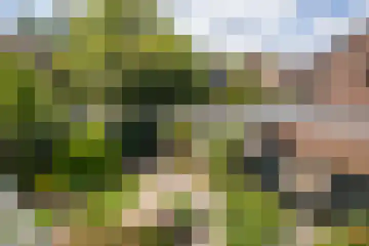 Koterhoek 23 Steenwijk thumbnail 5