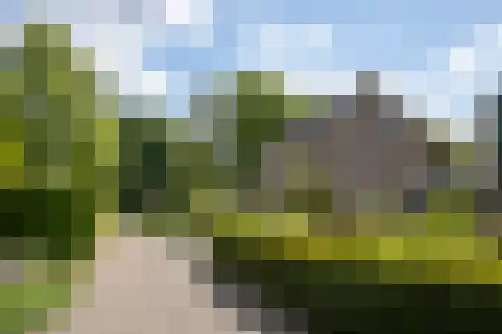 Koterhoek 23 Steenwijk thumbnail 6